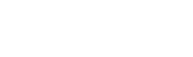 acceleration academies logo